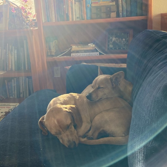 Meet your Posher, Ashlee - Picture 2 of 2